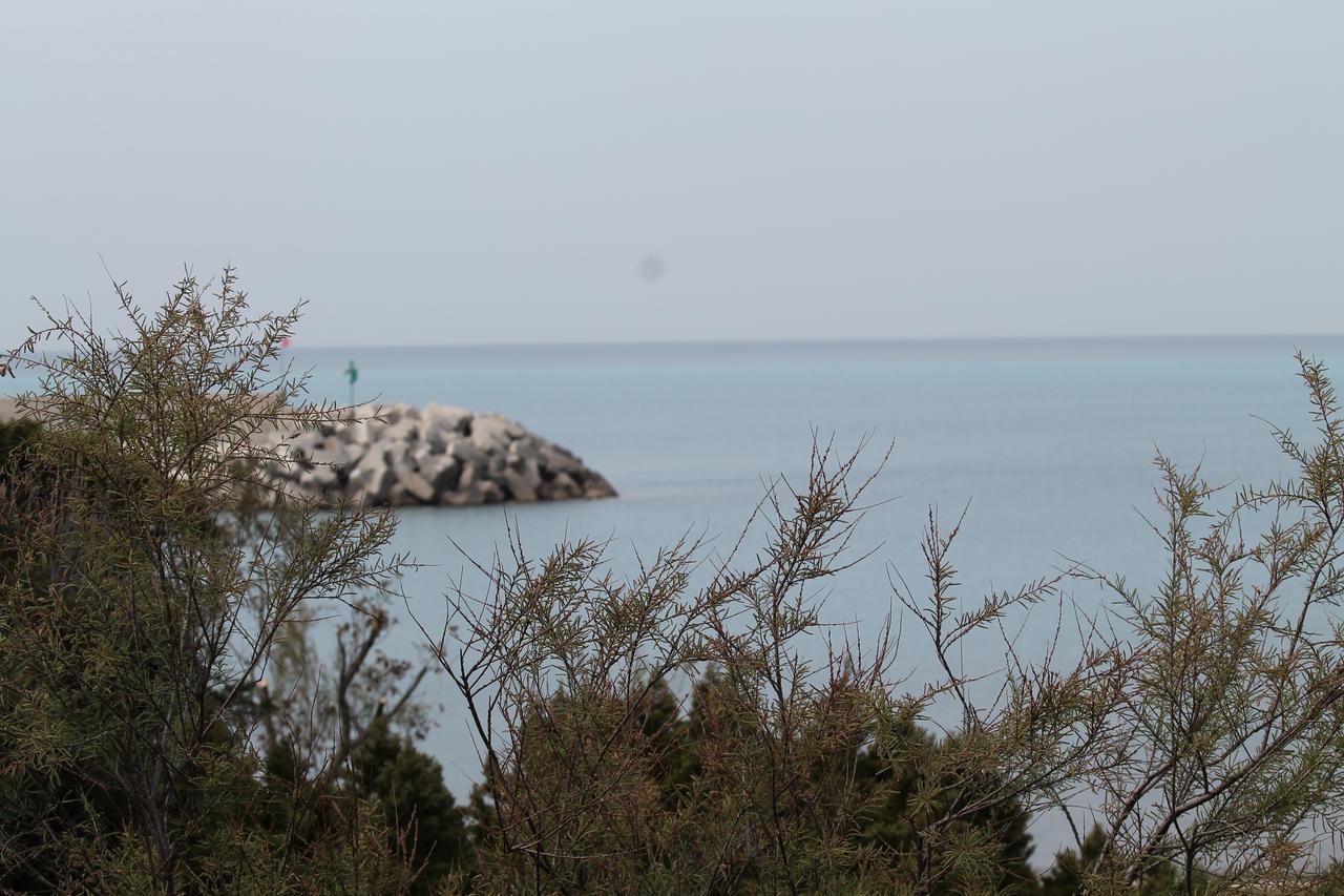 Hotel La Marinella カスティリョンチェッロ エクステリア 写真